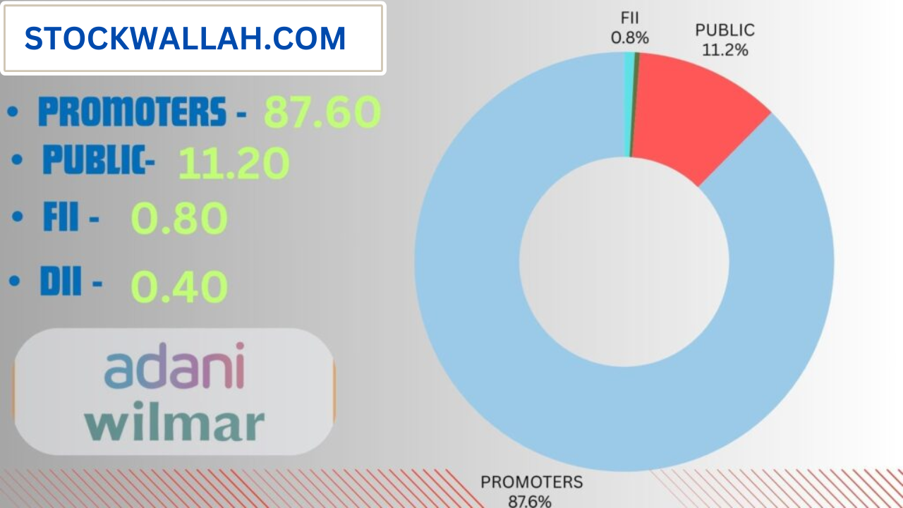 adani wilmar holdings